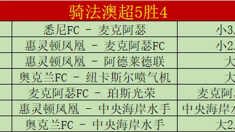 维尔港保级关键战，唐卡斯特期号专家质合推荐分析