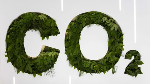 2026年AI产业深度解析：长城基金陈良栋详解兑现攻略